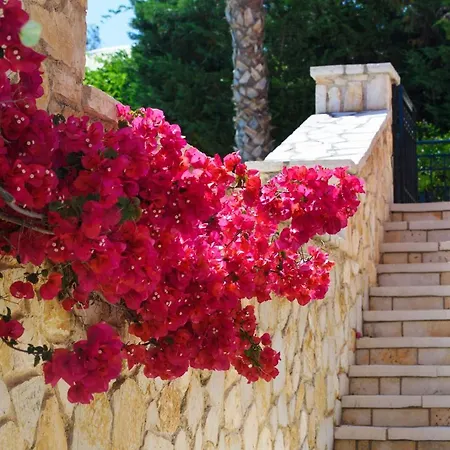 וילה Deluxe Rose With Private Pool